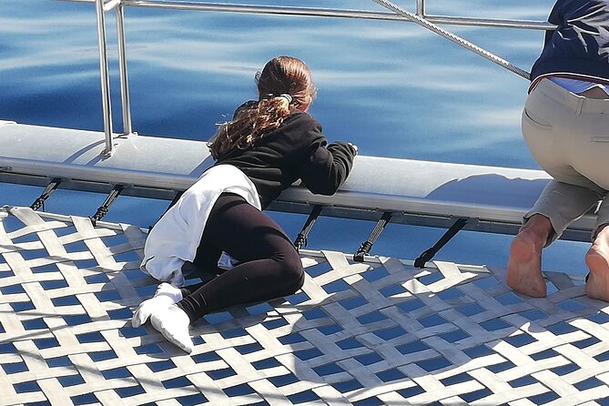 Whale & Dolphin Watching With Mustcat Virgin Coast Trip On a Large Catamaran - My call: book it for the mix, not a guarantee
