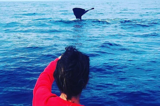 Whale Dream ltd - Whales watching and swim with dolphins - Listening for sperm whales offshore