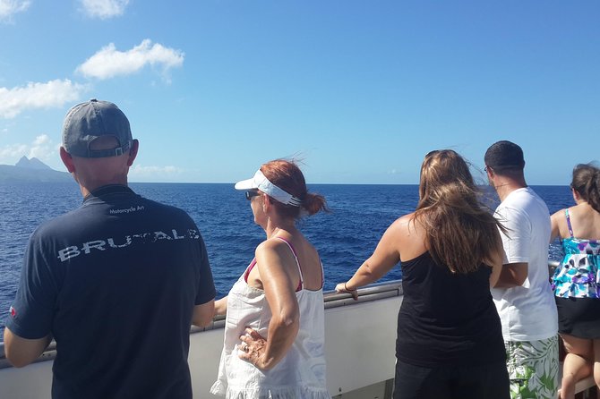 Whale Watching and Dolphin Spotting Cruise - Setting out from Choc at 8:00 in the morning