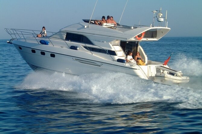 Whales and Dolphins excursion on a Luxury Yacht in Canary Islands - Is the $104 price good value?