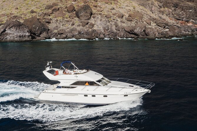 Whales and Dolphins excursion on a Luxury Yacht in Canary Islands - Searching for pilot whales and dolphins