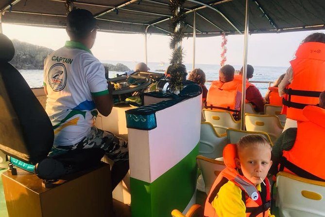Whales and Dolphins Watching-Luxury Super Grade Cruiser(Hotel Pick up offered) - Pickup from Galle and the timing trap
