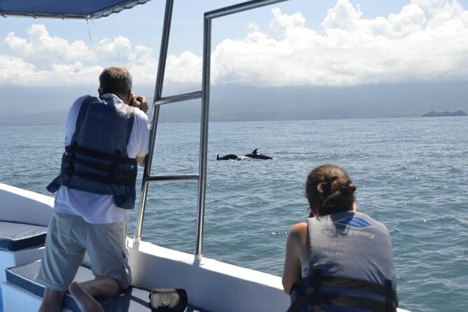 Whales and Dolphins watching Tour From Uvita - What the whale-watching portion is really like