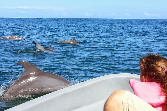 Whales and Dolphins watching Tour From Uvita - Accessibility and the walk to the boat
