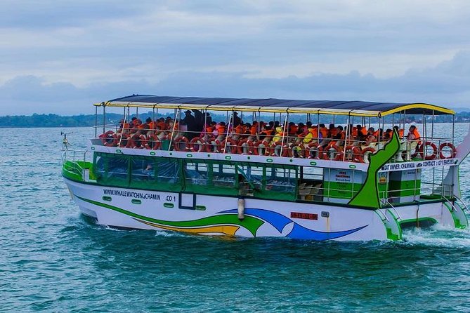 Whales & Dolphin Watching Day Tour including Handunugoda Teafactory - A long southern-coast day from Bentota