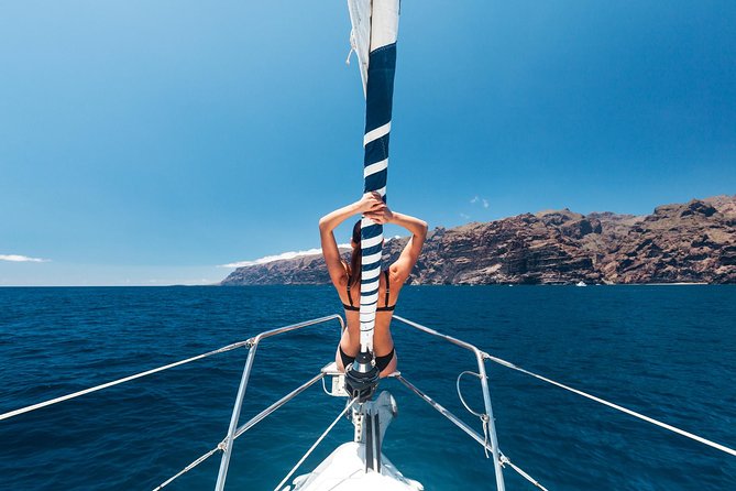 Whales & Dolphins watching in exclusive sailboat - Three hours with pilot whales and dolphins