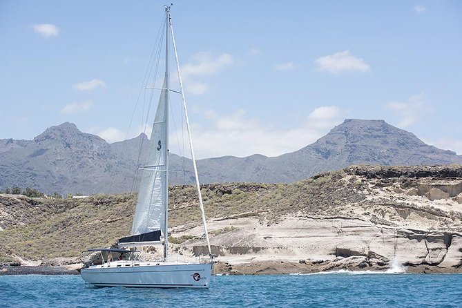 Whales & Dolphins watching in exclusive sailboat - Booking, cancellation, and timing advice