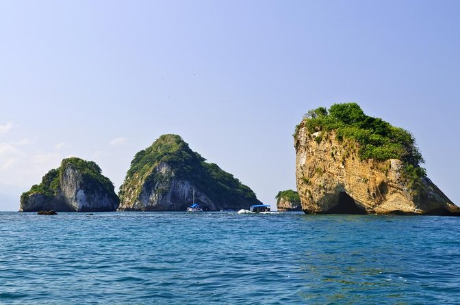 Wild Dolphin Encounter & Snorkeling Adventure - Key points to know before booking