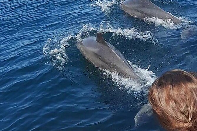 Wild Dolphin Encounter & Snorkeling Adventure - Searching the Pacific for dolphins