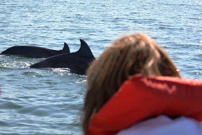 Wild Dolphin Encounter & Snorkeling Adventure - Snorkeling near Los Arcos de Mismaloya