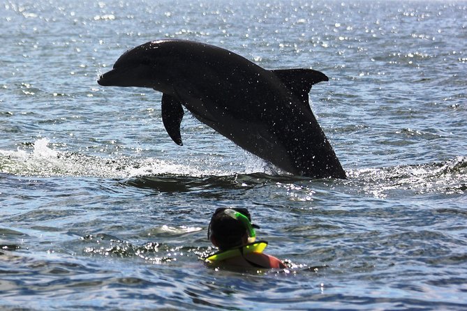 Wild Dolphin Encounter & Snorkeling Adventure - Who should book this Puerto Vallarta outing?