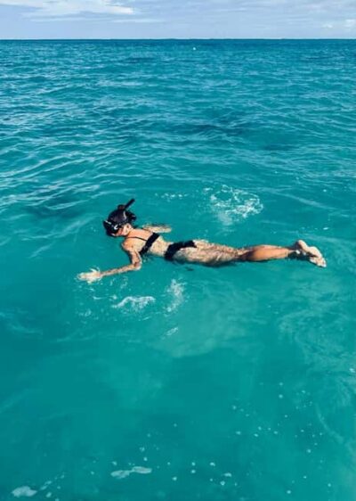 Wild Dolphin Encounter & Snorkeling Adventure – Mauritius.