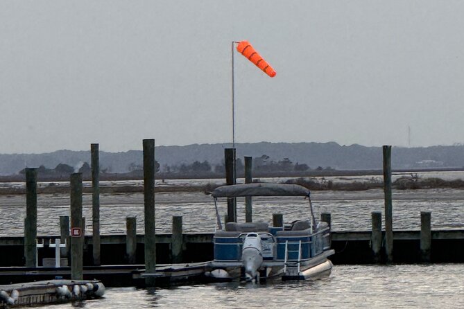 Wildlife Boat Tour with Wild Ponies and Dolphins in Chincoteague - Dolphins, Bald Eagles, and Fast Wildlife Moments