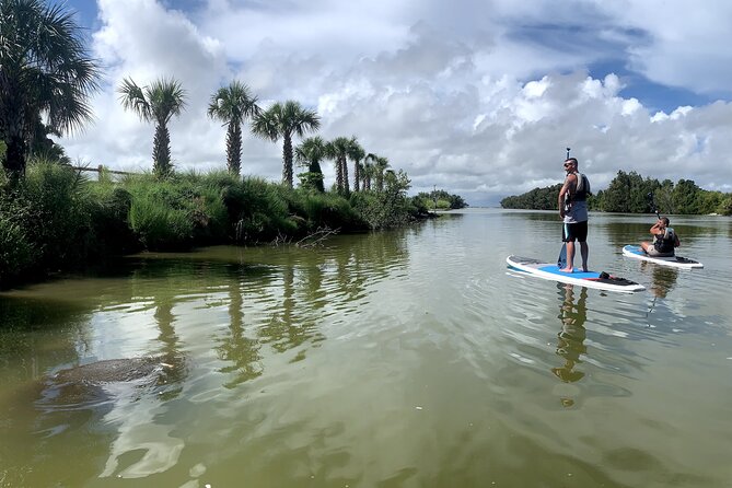 Wildlife Refuge Dolphin, Manatee & Mangrove Kayak or Paddleboarding Tour! - A sunset paddle through Haulover Canal