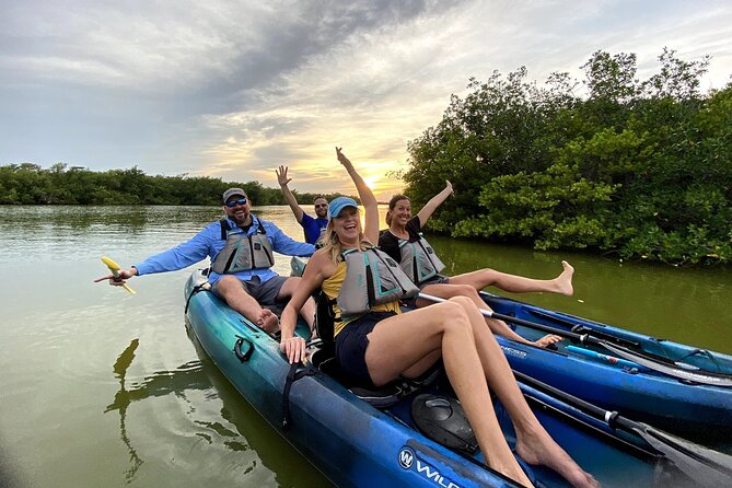 Wildlife Refuge Dolphin, Manatee & Mangrove Kayak or Paddleboarding Tour! - Wildlife you might see along the route
