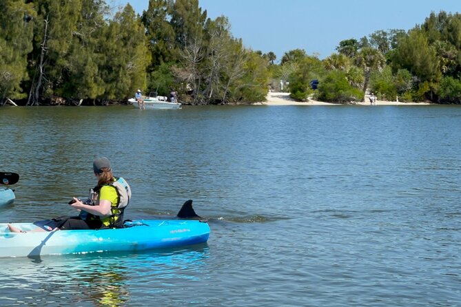 Wildlife Refuge Dolphin, Manatee & Mangrove Kayak or Paddleboarding Tour! - The price and what you receive for $50
