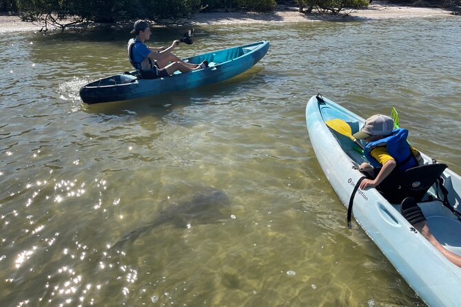 Wildlife Refuge Dolphin, Manatee & Mangrove Kayak or Paddleboarding Tour! - Who will enjoy this tour most?