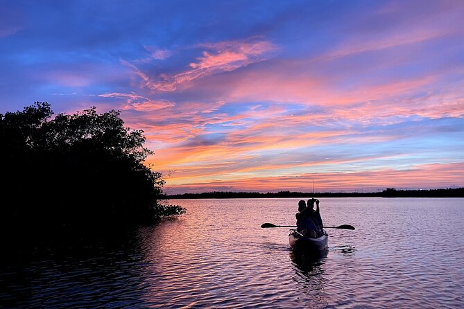 Wildlife Refuge Dolphin, Manatee & Mangrove Kayak or Paddleboarding Tour! - What the 90-minute itinerary feels like
