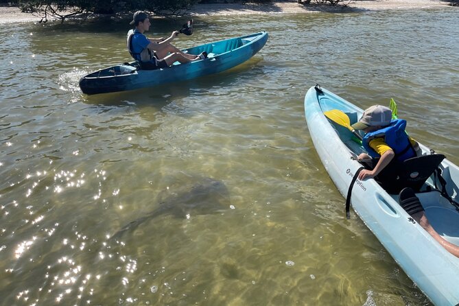 Wildlife Refuge Sunset Dolphin, Manatee & Mangrove Kayak or Paddleboarding Tour! - Kayak or stand-up paddleboard?