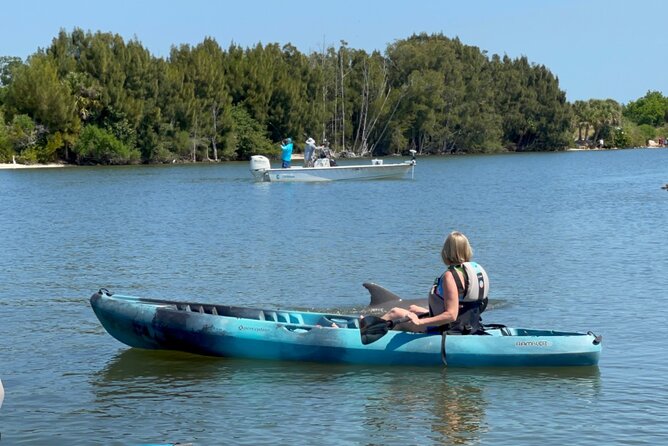 Wildlife Refuge Sunset Dolphin, Manatee & Mangrove Kayak or Paddleboarding Tour! - The mangroves are more than scenery
