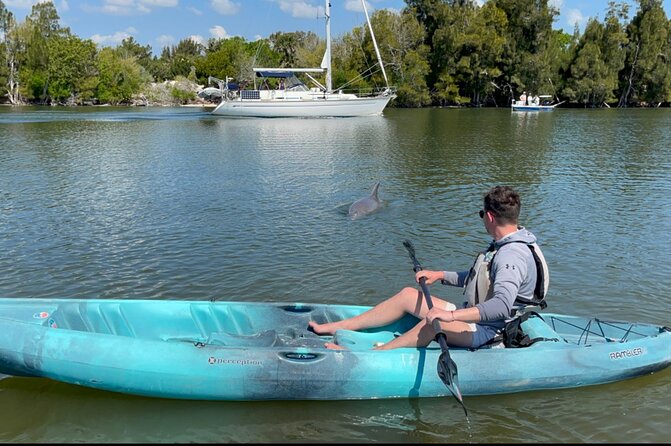 Wildlife Refuge Sunset Dolphin, Manatee & Mangrove Kayak or Paddleboarding Tour! - Is $61.75 a fair price?