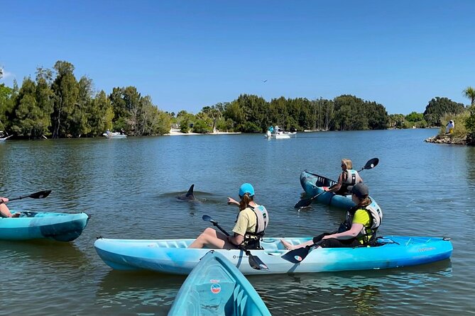 Wildlife Refuge Sunset Dolphin, Manatee & Mangrove Kayak or Paddleboarding Tour! - Getting on the water at sunset