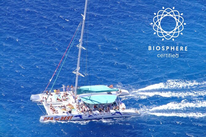 Wines Tasting Experience and Skywalk with Dolphin Watching - What the full day actually looks like