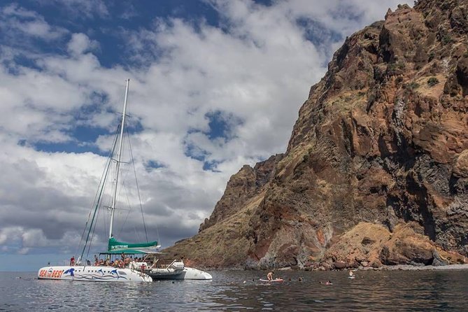 Wines Tasting Experience and Skywalk with Dolphin Watching - São Vicente vineyards and six Madeira wine tastings