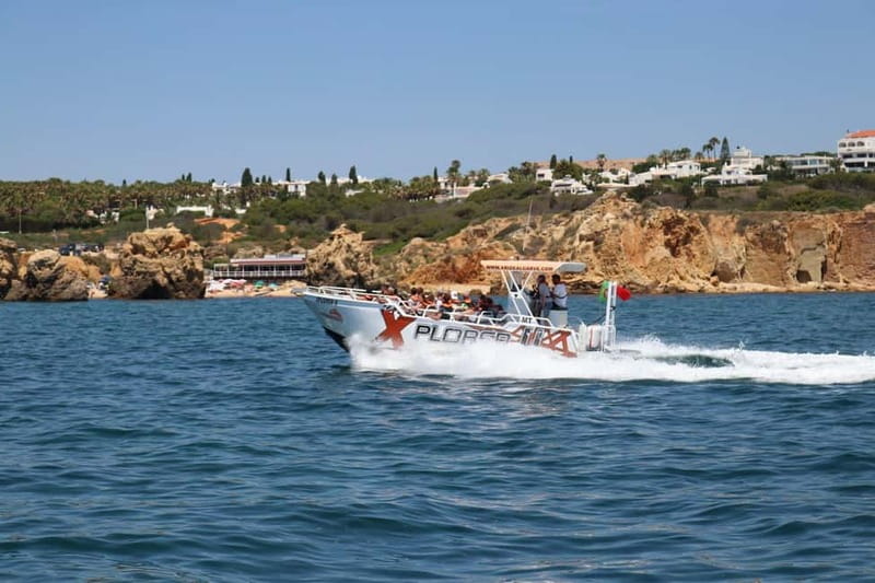 X Plorer – Caves (Benagil) & Dolphins Cruise - The dolphin search off the Algarve