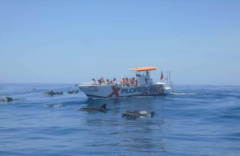 X Plorer – Caves (Benagil) & Dolphins Cruise - Entering the Algarve sea caves