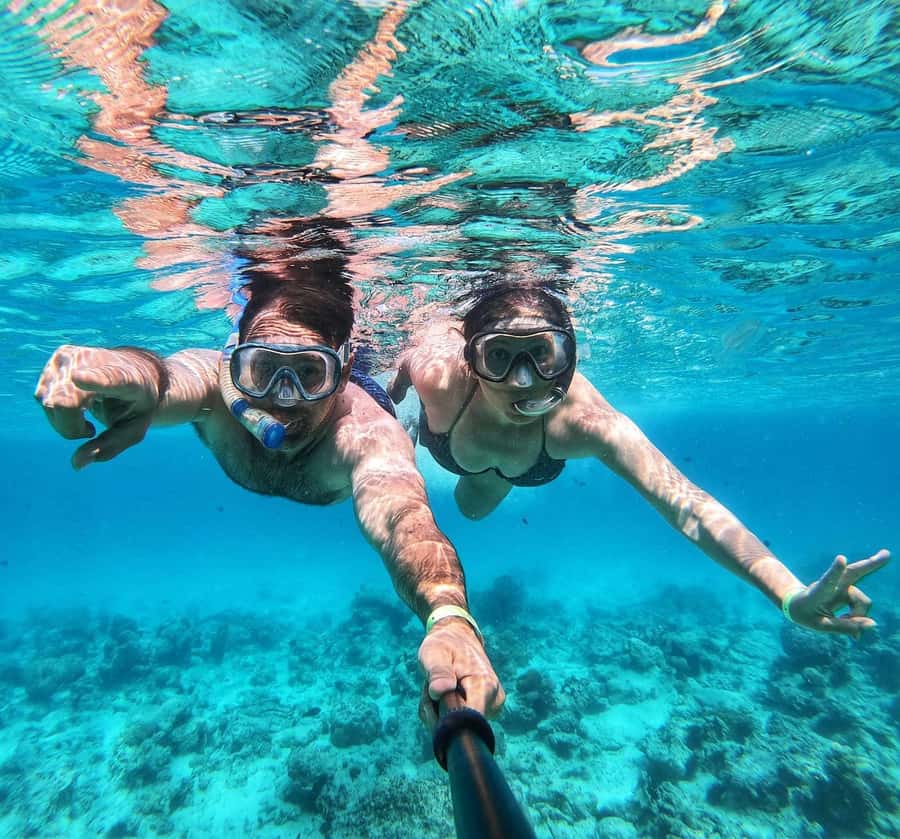 Zanzibar dolphins+ snokling at mnemba with turles swimming - The boat ride and dolphin search