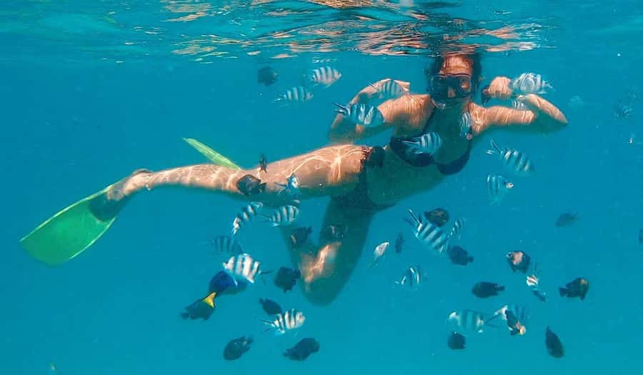 Zanzibar dolphins+ snokling at mnemba with turles swimming - Who should book this Mnemba trip?