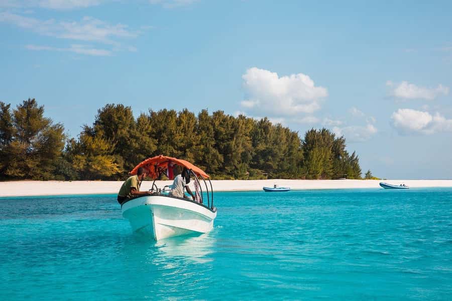 Zanzibar: Half-day Dolphin Swim & Snorkeling Boat Trip - A relaxed snorkeling session for beginners