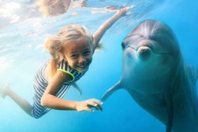 Zanzibar: Half-day Dolphin Swim & Snorkeling Boat Trip