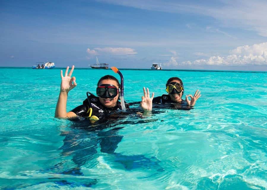 Zanzibar: Half-day Dolphin Swim & Snorkeling Boat Trip - The sandbank stop and what you will not do