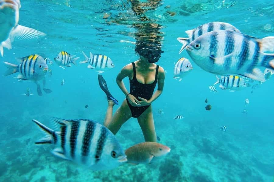 Zanzibar: Half-day Dolphin Swim & Snorkeling Boat Trip - The responsible dolphin policy matters
