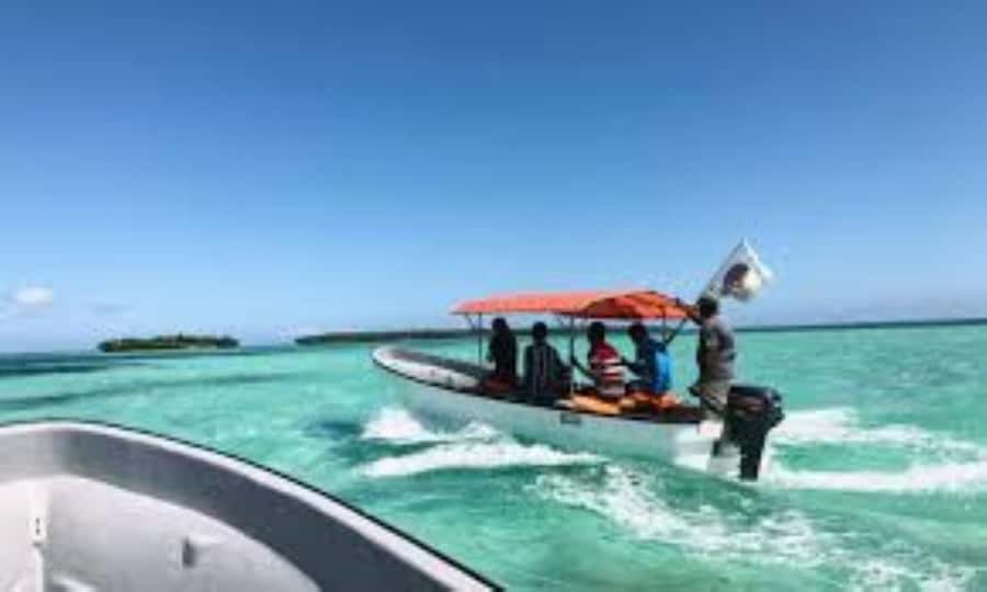 Zanzibar: Mnemba atoll, dolphin & snorkelling tour - Key points to know before you book