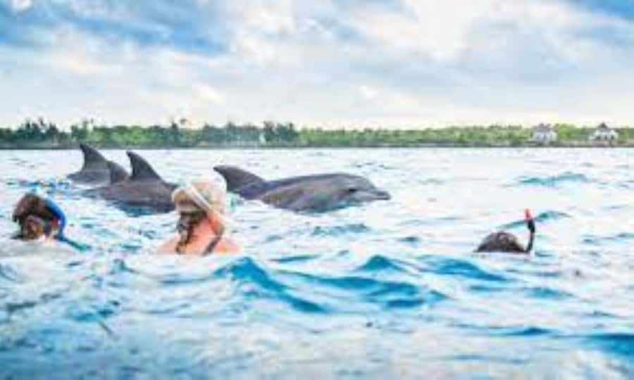 Zanzibar: Mnemba atoll, dolphin & snorkelling tour - The white sandbank depends on low tide
