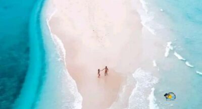 Zanzibar: Mnemba Dolphins Tour with Snorkeling and Sandbank