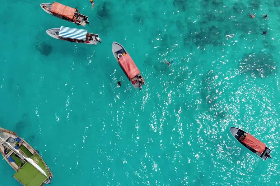 Zanzibar: Mnemba Island Dolphin and Snorkeling Tour - Dolphins first, reef snorkeling second