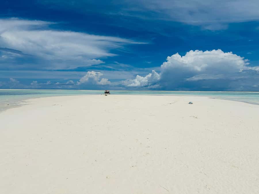 Zanzibar: Mnemba Island Dolphin and Snorkeling Tour - Sandbanks, shallow water, and the beach pause