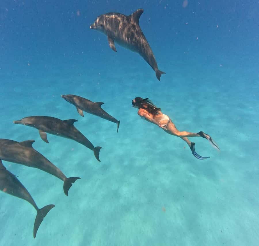 Zanzibar: Mnemba Island&Dolphin Swim With Optional Lunch - Looking for dolphins near Mnemba