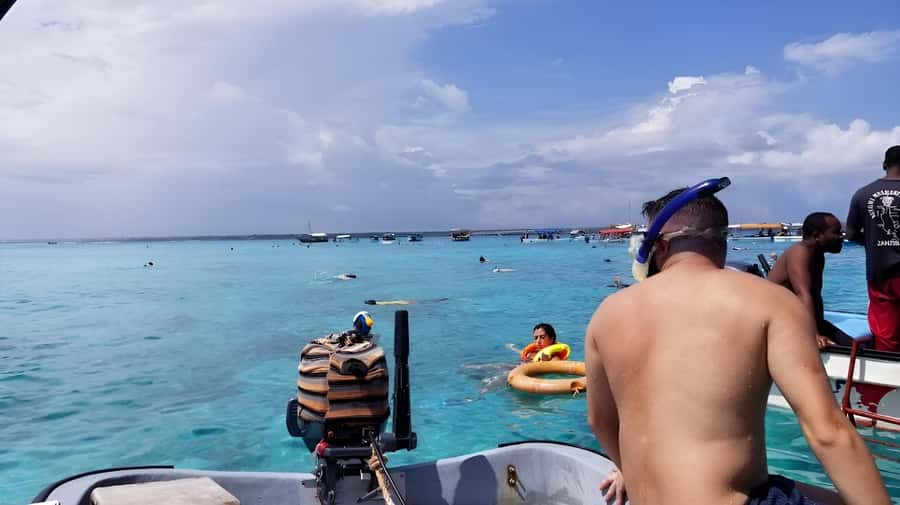 Zanzibar: Mnemba Island&Dolphin Swim With Optional Lunch - The optional lunch and what it adds