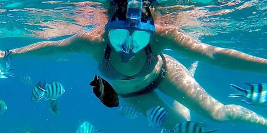 Zanzibar: Mnemba Island&Dolphin Swim With Optional Lunch - Price and value at $18