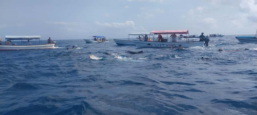 Zanzibar: Mnemba Island Snorkeling and Dolphin Tour - Snorkeling among coral and tropical fish