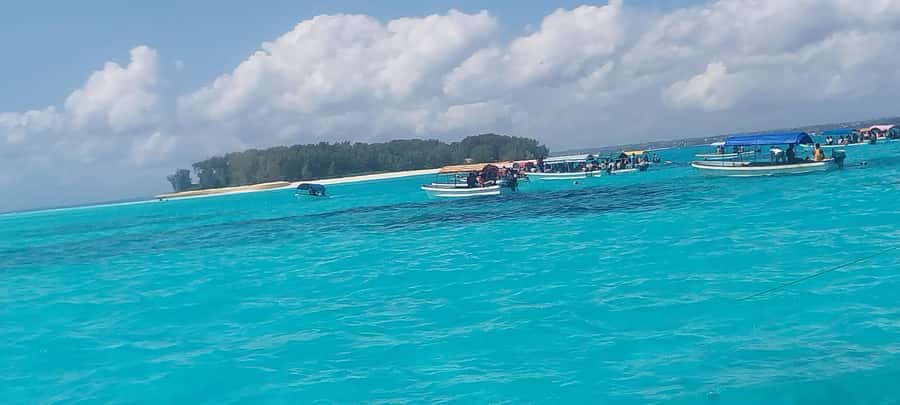 Zanzibar: Mnemba Island Snorkeling and Dolphin Tour - Fruit, water, and a slower finish