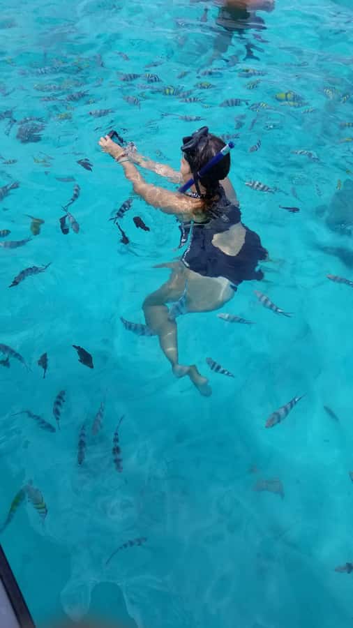 Zanzibar: Mnemba Island Snorkeling and Dolphin Tour - What the $42 price really includes
