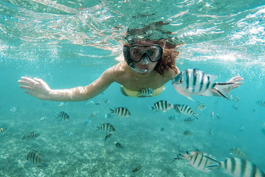 Zanzibar: Mnemba Island Snorkeling and Dolphin Tour - The guides and communication