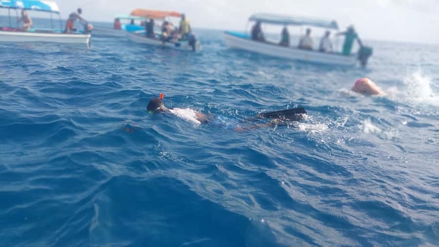 Zanzibar: Mnemba Island Snorkeling and Dolphin Tour - Who should book this boat trip?