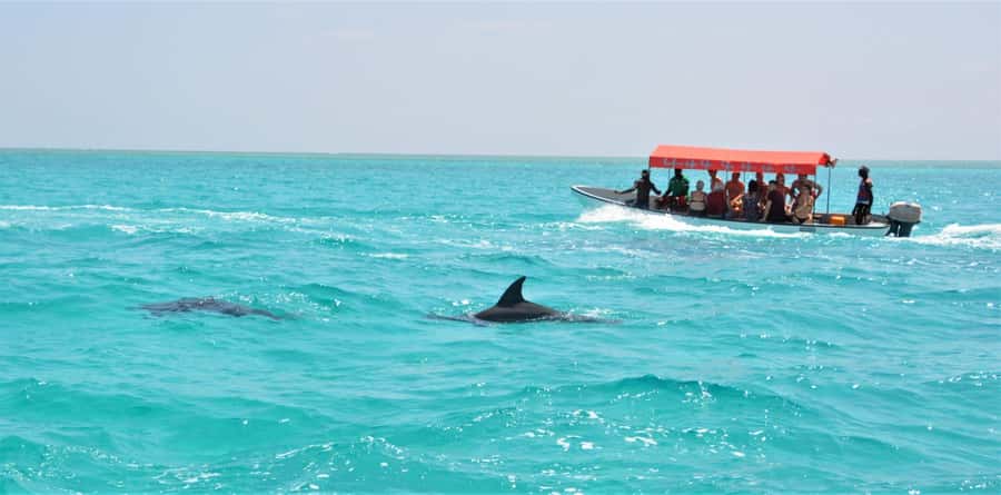 Zanzibar: Mnemba Island Snorkeling & Dolphin - Setting Out From Nungwi Beach